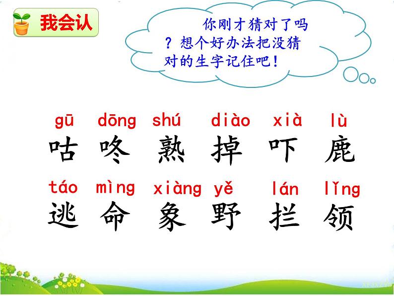 20 咕咚第5页
