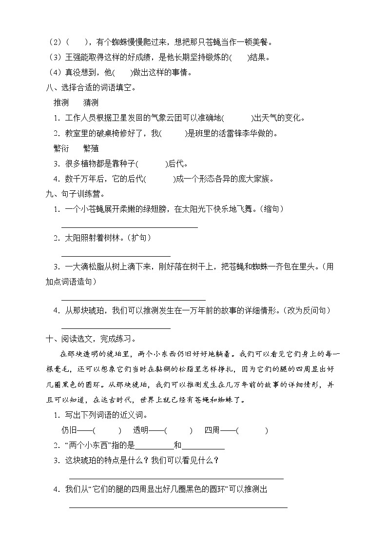 部编版四年级语文下册同步练习5.琥珀(提升卷有答案)02