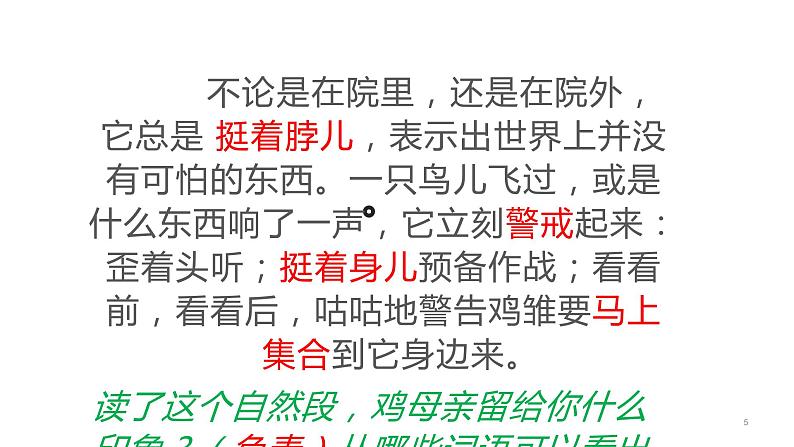 四年级语文下册课件-14 母鸡-部编版(共11张PPT)第5页