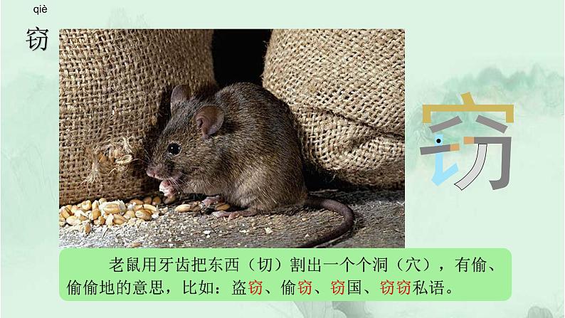 23. 海底世界 趣味识字 生字教学课件PPT03