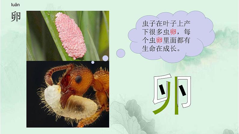 课文2走月亮 精品PPT 趣味识字课件第4页