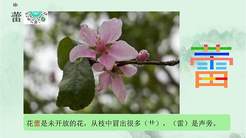 语文园地四 精品PPT 趣味识字课件第4页