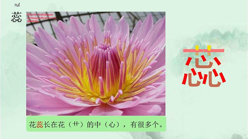 语文园地四 精品PPT 趣味识字课件第5页