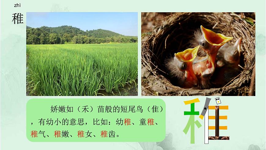 課文11十六年前的回憶 精品PPT 趣味識字課件第2頁