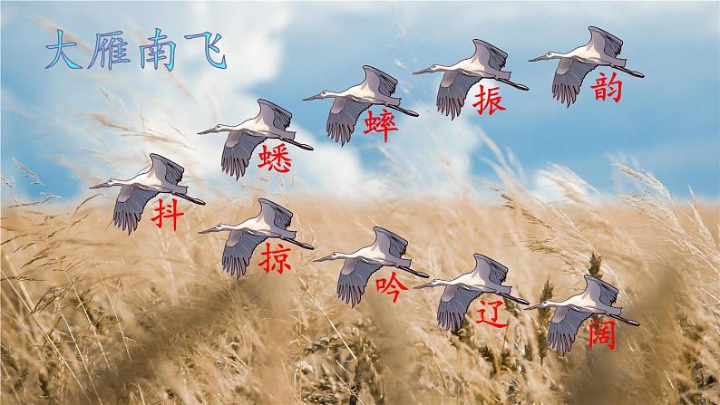 7 听听,秋的声音课件PPT06