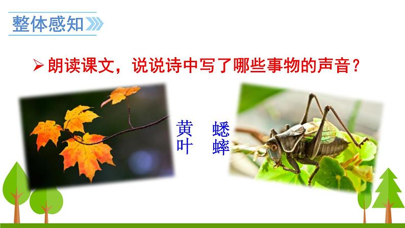 7 听听,秋的声音课件PPT08