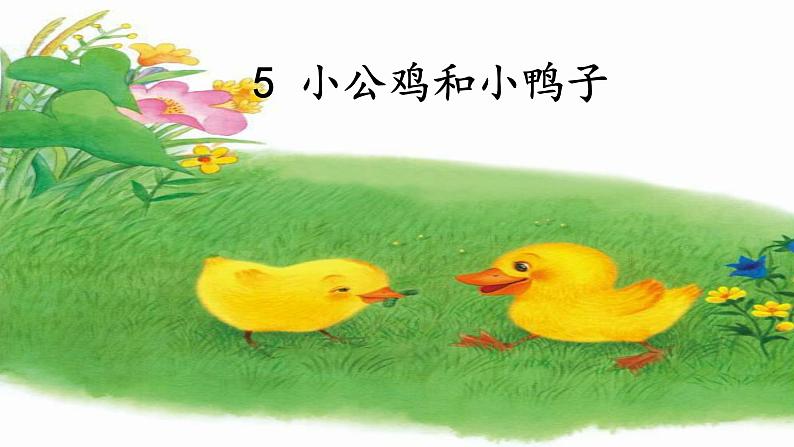 一年级语文下册课件-5 小公鸡和小鸭子3-部编版(13张PPT)01