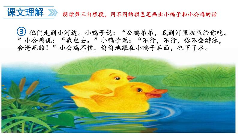 一年级语文下册课件-5 小公鸡和小鸭子3-部编版(13张PPT)03