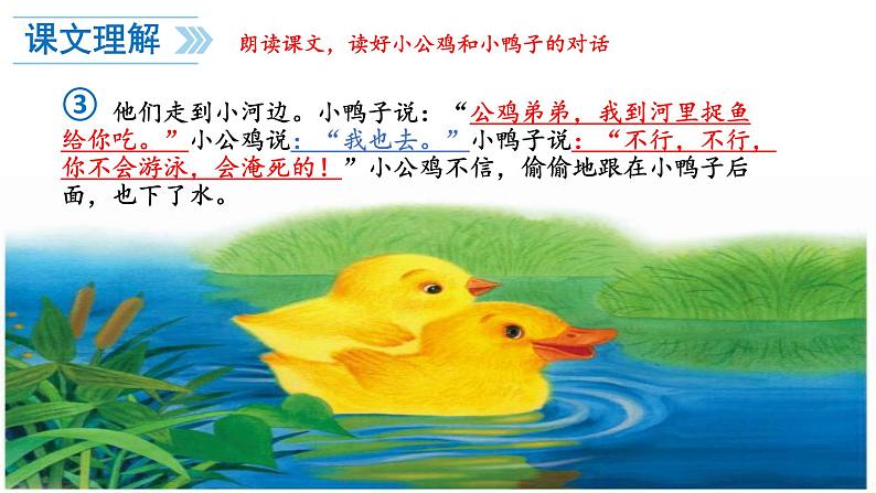 一年级语文下册课件-5 小公鸡和小鸭子3-部编版(13张PPT)04