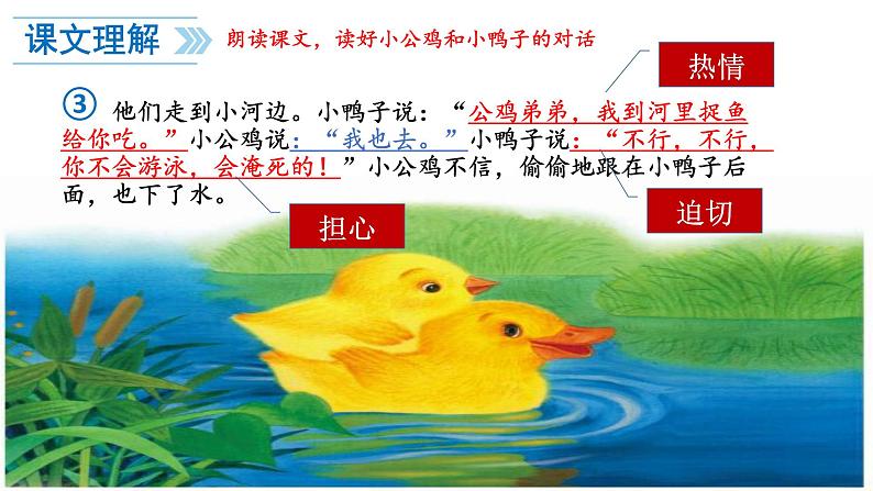 一年级语文下册课件-5 小公鸡和小鸭子3-部编版(13张PPT)06
