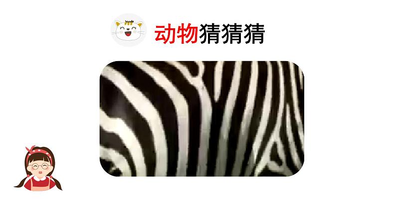 统编版语文四下第四单元习作:我的动物朋友 课件第3页