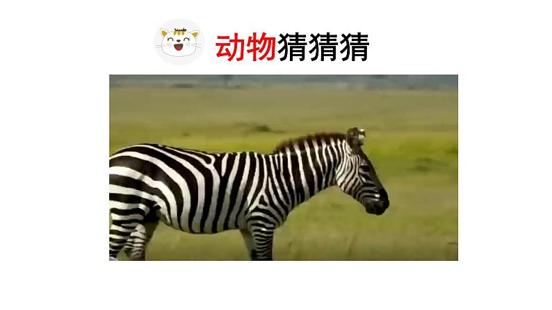 统编版语文四下第四单元习作:我的动物朋友 课件第4页