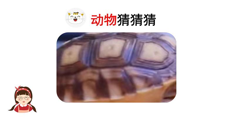统编版语文四下第四单元习作:我的动物朋友 课件第5页