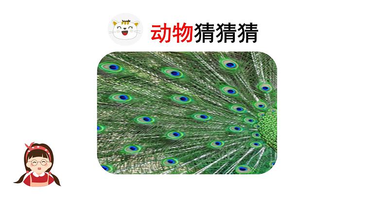 统编版语文四下第四单元习作:我的动物朋友 课件第7页