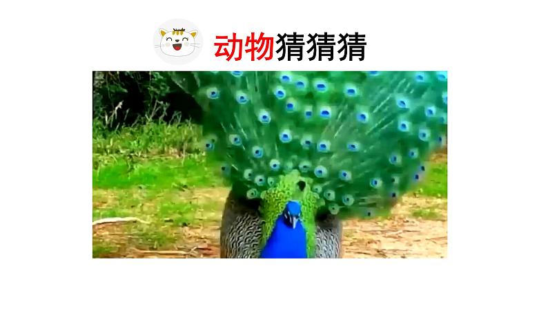 统编版语文四下第四单元习作:我的动物朋友 课件第8页