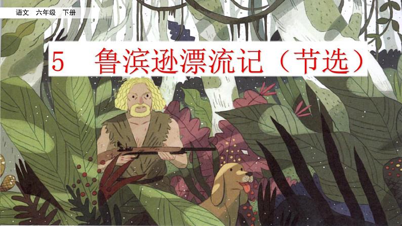 5 鲁滨逊漂流记(授课用)课件PPT04