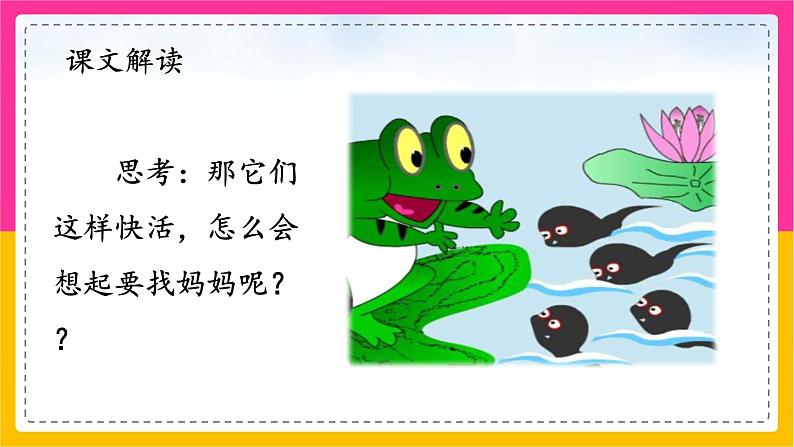 1.小蝌蚪找妈妈(第二课时)课件+教案+同步练习06