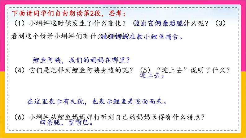 1.小蝌蚪找妈妈(第二课时)课件+教案+同步练习07