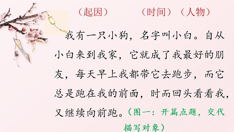 三年级语文期末写作专项——看图写话(二)课件PPT第3页