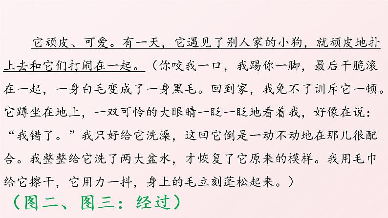 三年级语文期末写作专项——看图写话(二)课件PPT第4页