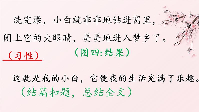 三年级语文期末写作专项——看图写话(二)课件PPT第5页