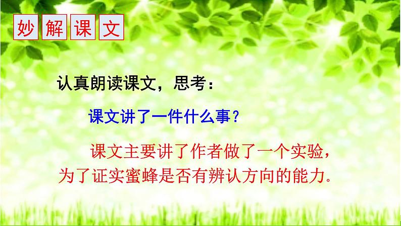 人教版14 蜜蜂课件PPT第2页