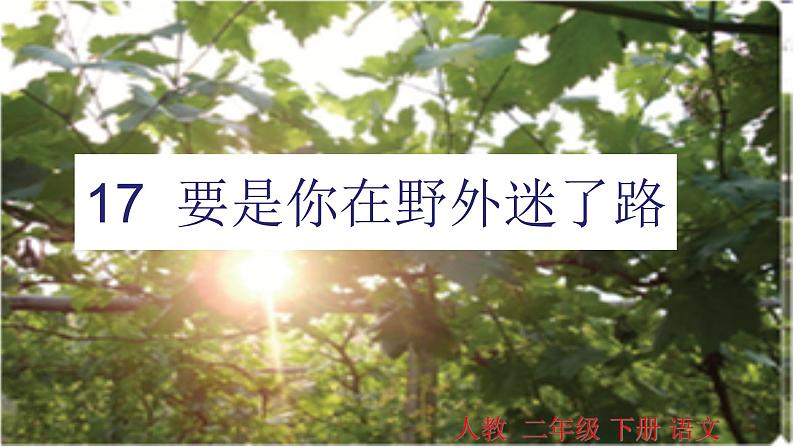 部编版语文二年级下册 17 要是你在野外迷了路课件第1页