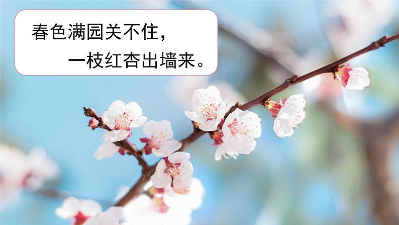 六年级上册《花之歌》第一课时课件PPT+教案+练习(含音视频素材)04