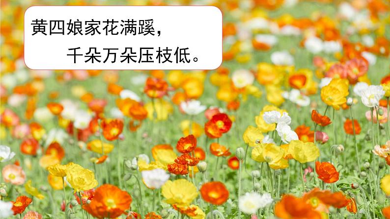 六年级上册《花之歌》第一课时课件PPT+教案+练习(含音视频素材)06