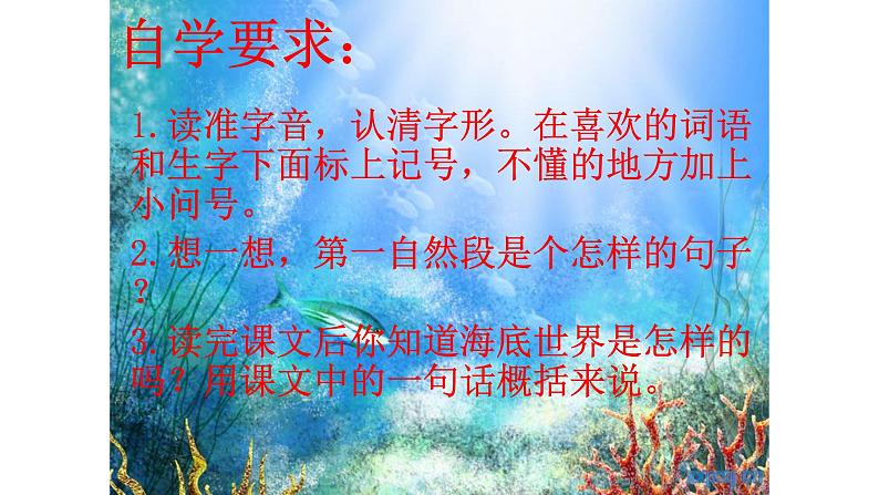 三下海底世界课件PPT第8页