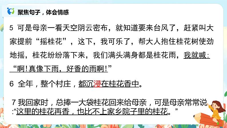 《桂花雨》第二课时 课件第7页