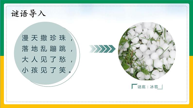 2.《我是什么》(第一课时)课件+教案04