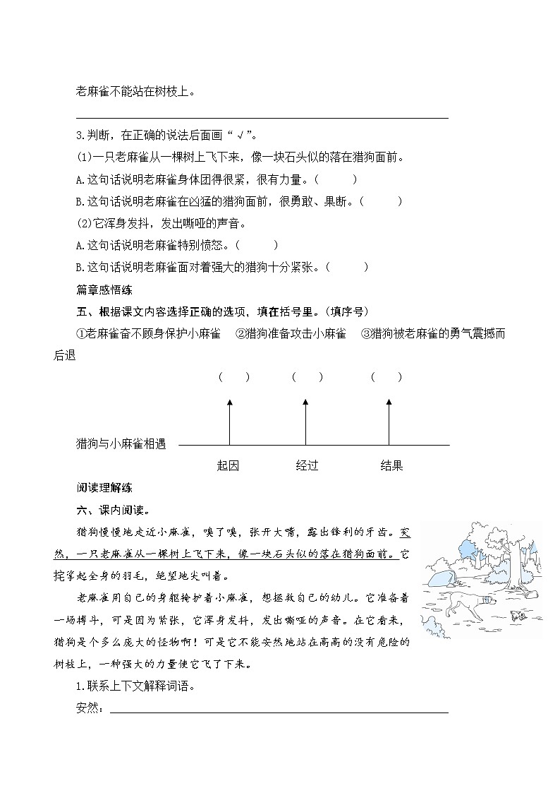 16《麻雀》课件PPT+教案+练习+学案课件+音视频素材02