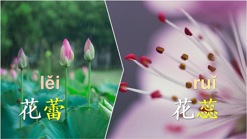 部编版语文四上 语文园地四 课件PPT+教案+练习+单元知识归纳+单元测评04
