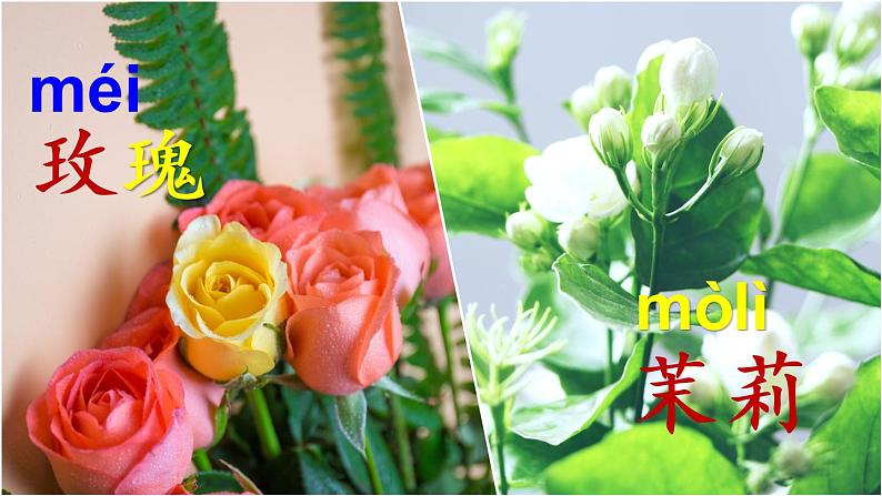 部编版语文四上 语文园地四 课件PPT+教案+练习+单元知识归纳+单元测评05