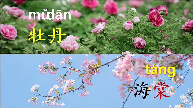 部编版语文四上 语文园地四 课件PPT+教案+练习+单元知识归纳+单元测评06