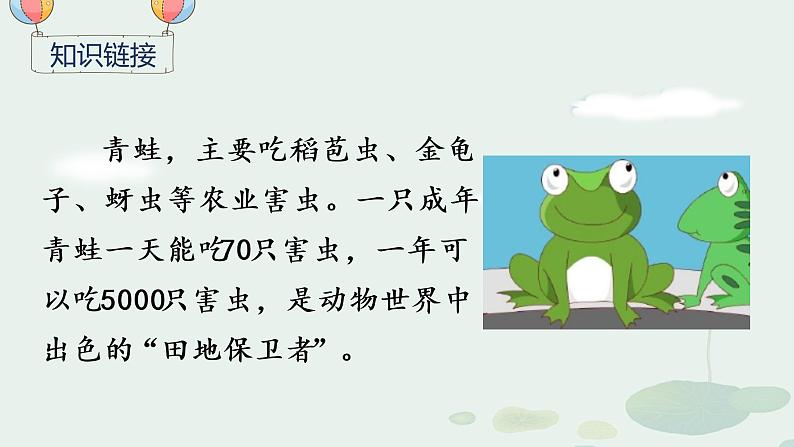 部编版语文一年级下册 第1单元 识字3 小青蛙课件PPT03