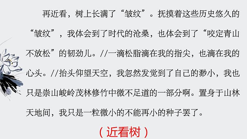 六年级语文写作专项——写景游记(一)课件PPT第7页