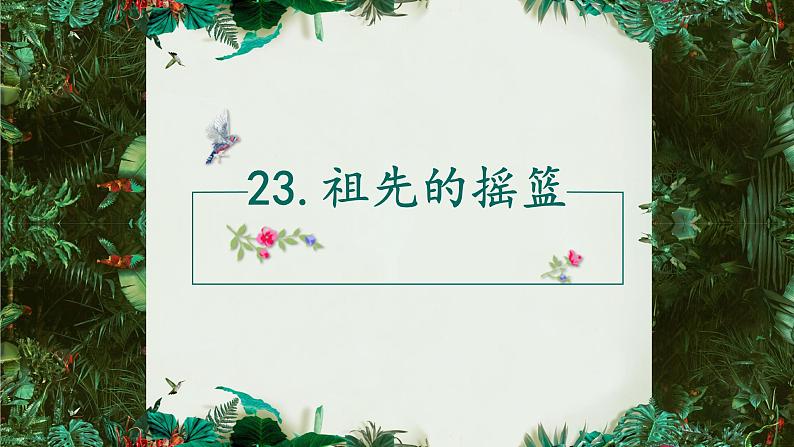 二年级下册23 祖先的摇篮课件PPT第3页