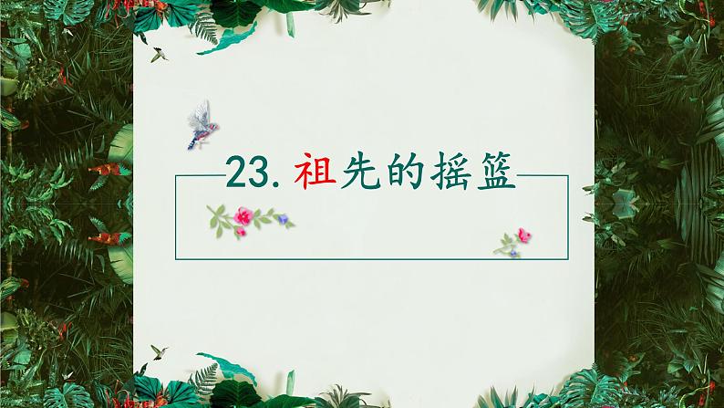 二年级下册23 祖先的摇篮课件PPT第4页