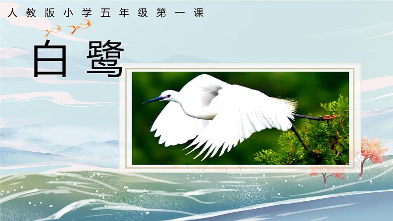1《白鹭》课件第1页
