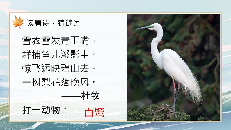 1《白鹭》课件第5页