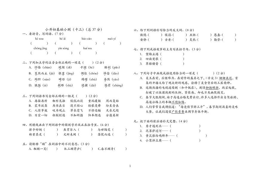 小升初基础小测(十三)第1页