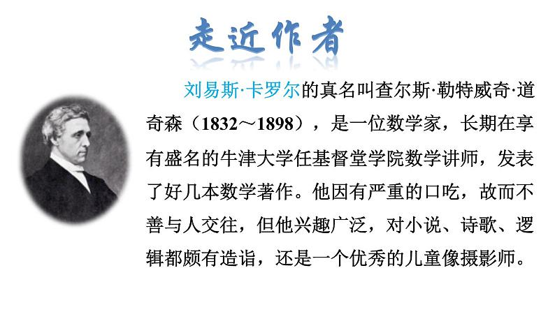 部编版六年级语文下册名著导读课件---爱丽丝漫游奇景 鲁滨逊漂流记 女生贾梅 男生贾里 骑鹅旅行记 青铜葵花 汤姆索亚历险记第4页