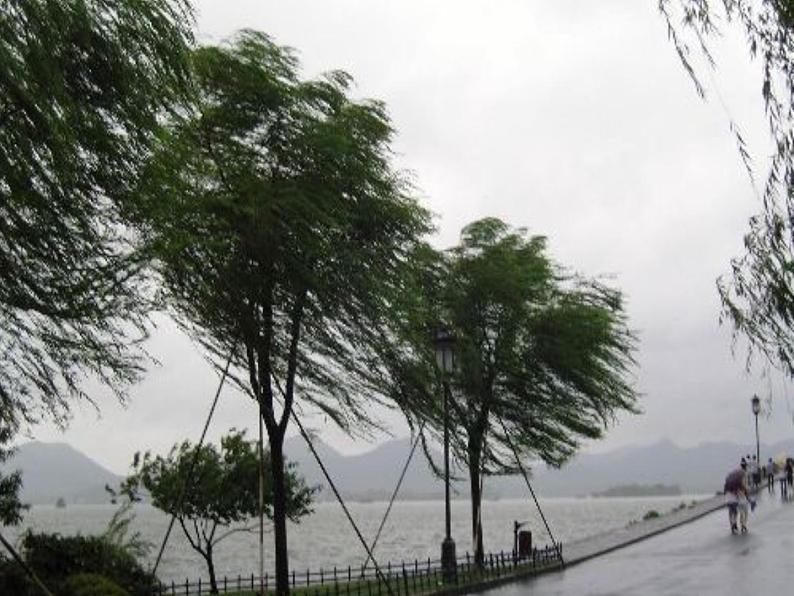 小学语文人教课标版(部编)二年级下册雷雨课件第5页