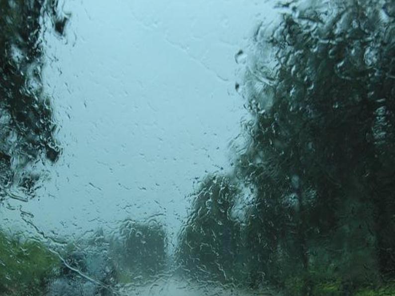 小学语文人教课标版(部编)二年级下册雷雨课件第7页