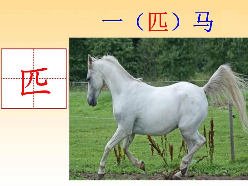 小学语文人教课标版(部编)二年级下册一匹出色的马课件03