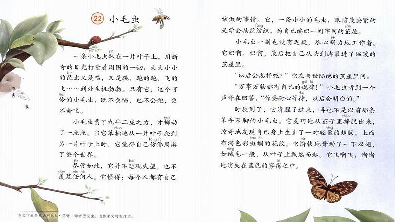 小学语文人教课标版(部编)二年级下册22小毛虫课件05