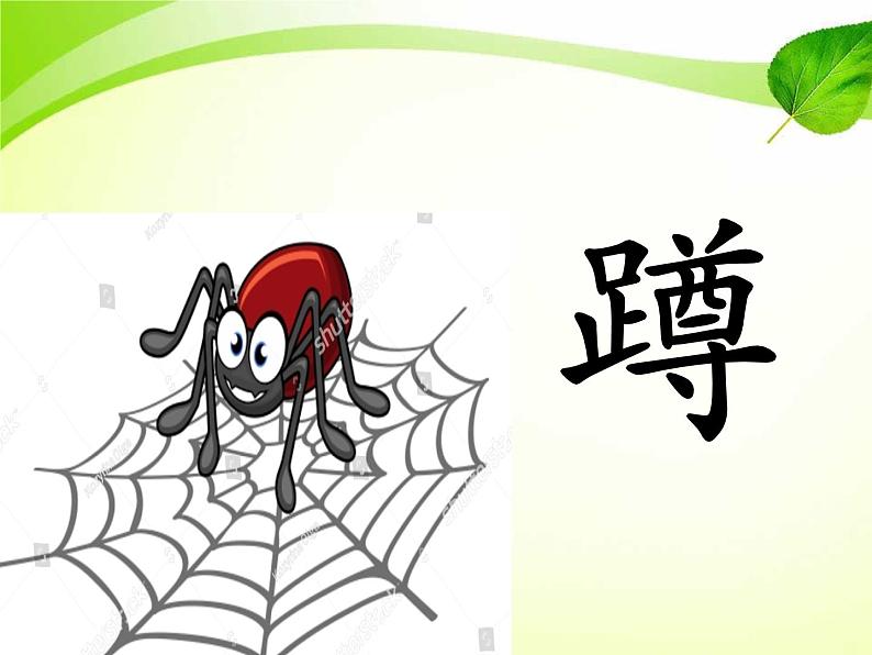 小学语文人教课标版(部编)二年级下册2蜘蛛开店课件第4页
