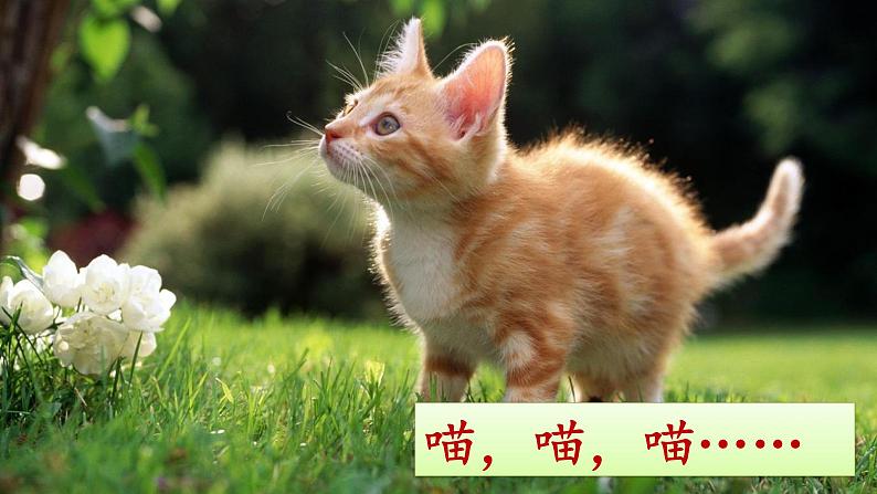 小学语文人教课标版(部编)二年级下册9枫树上的喜鹊课件第2页